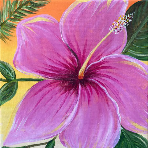 Hibiscus
