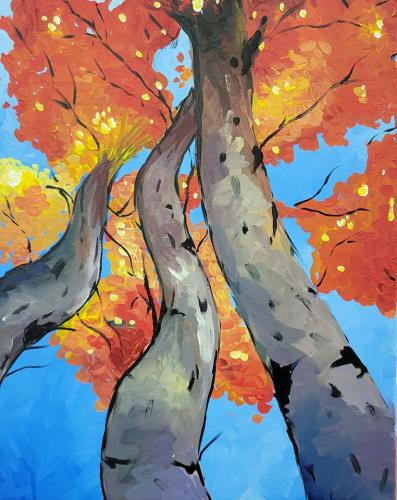 birch