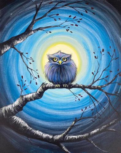 grumpy-owl