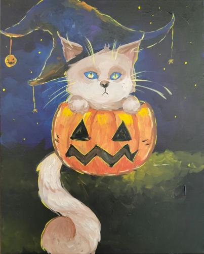 witchy cat
